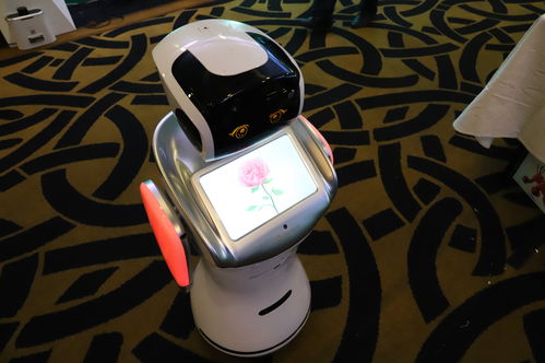 順應(yīng)時(shí)代，點(diǎn)燃夢想 騰瑪人工智能新品發(fā)布會(huì)暨開業(yè)盛典